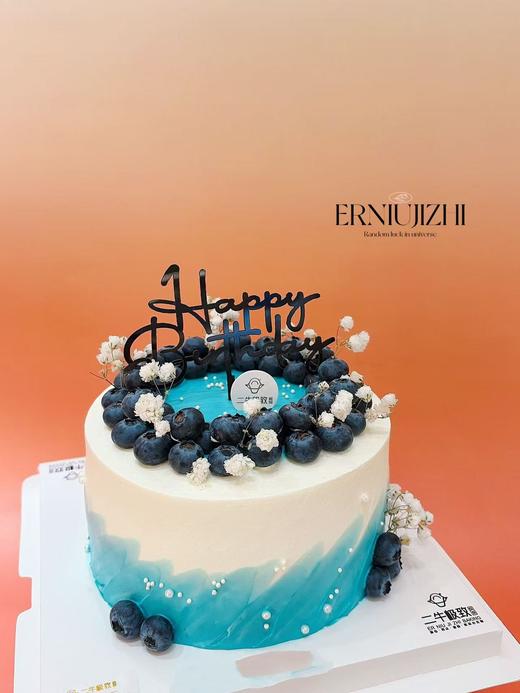 简约蓝莓 商品图2