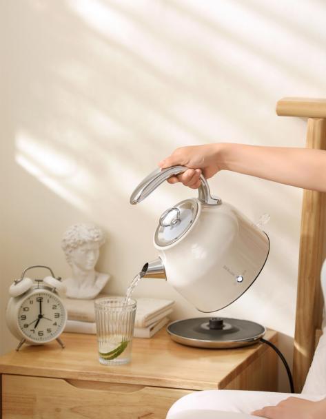 德世朗DDQ-SH205TB电热水壶（保温款） 商品图0