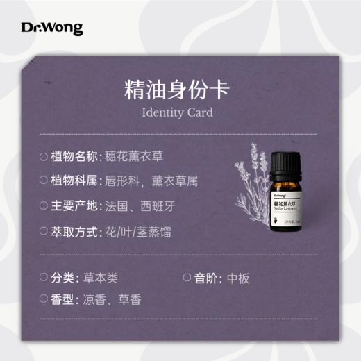 穗花薰衣草 单方精油 商品图2