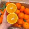 付氏脐橙 赣南脐橙 橙子 汁水多 商品缩略图0