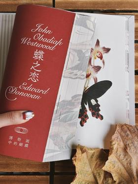 蝶之恋 博物画中的蝴蝶 ［英］爱德华·多诺万