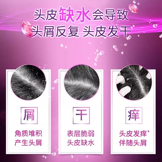 450g清扬去屑洗发露多效水润 商品图2