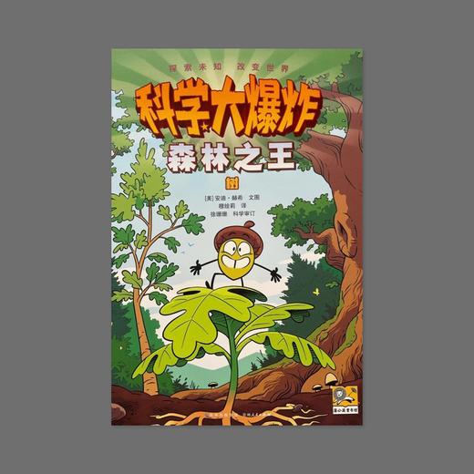 科学大爆炸 森林之王 树 商品图0