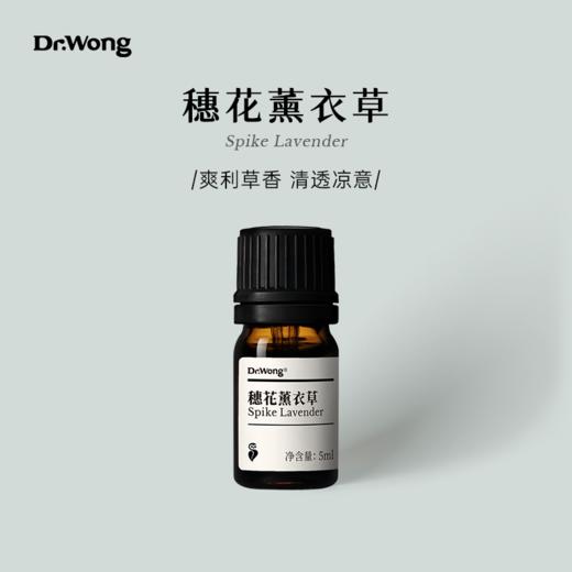 穗花薰衣草 单方精油 商品图0