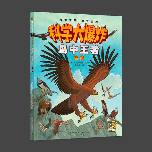 科学大爆炸 鸟中王者 猛禽 商品图0