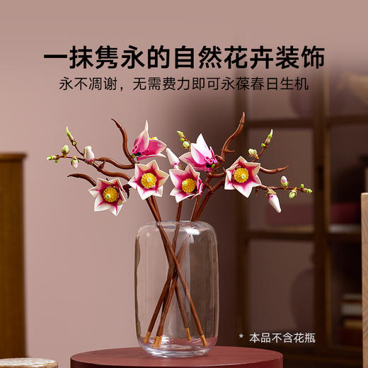 乐高LEGO 木兰花枝LEGC11510 商品图5