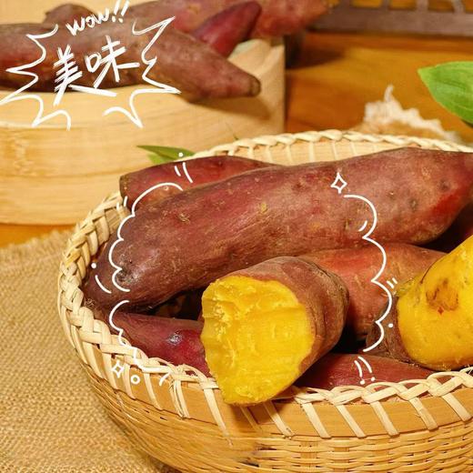 海南沙地小香薯中籽3斤 商品图0