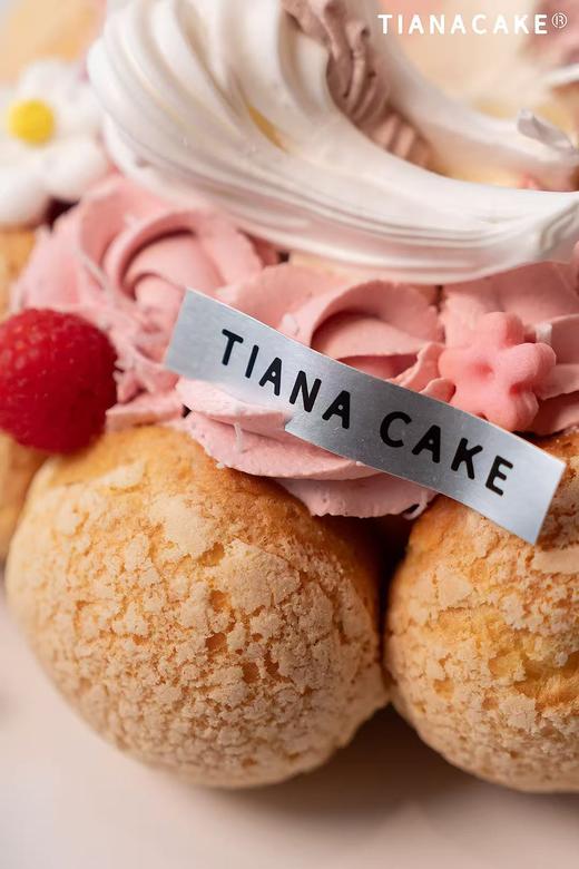 🦢梦境·天鹅堡 （五寸泡芙挞） 商品图4