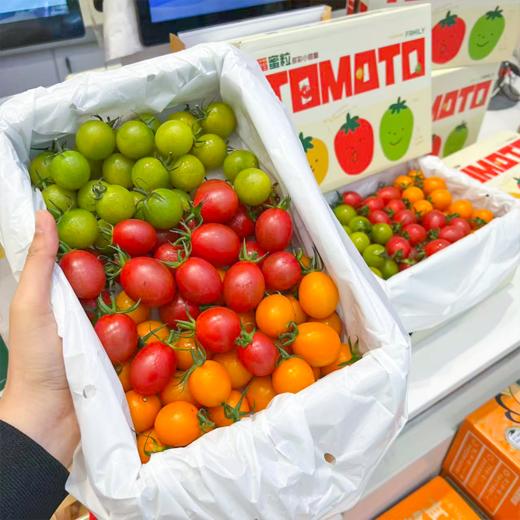 双色千禧番茄 红+黄 两种口味一起拥有 商品图7