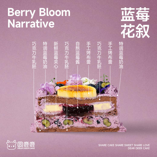 蓝莓花叙 商品图2