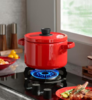 德世朗DFS-T941A-RD 珐琅多用高汤锅 商品缩略图0