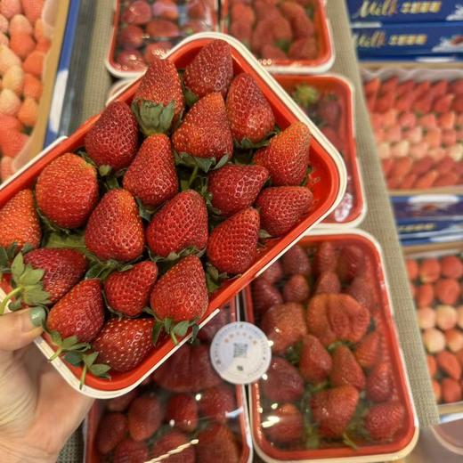 小箩筐  黑珍珠草莓  甜蜜蜜  商品图0