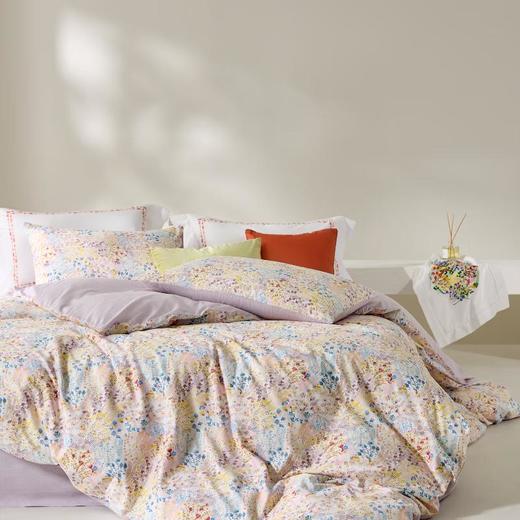 罗莱·雅 柔心轻风 AD0528-4 200cm*230cm 商品图5