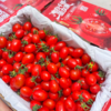 刘婆婆小甜甜千禧 小番茄 圣女果 好吃的甜番茄 商品缩略图6
