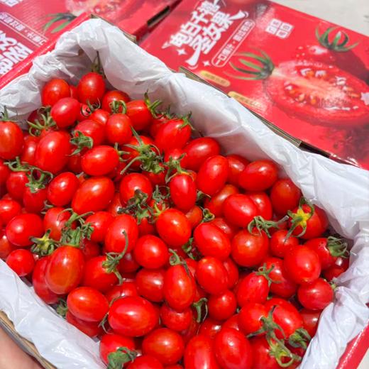 刘婆婆小甜甜千禧 小番茄 圣女果 好吃的甜番茄 商品图6