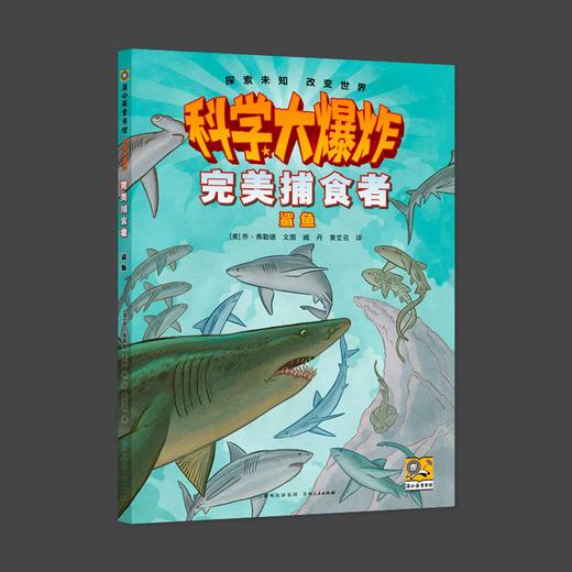 科学大爆炸 完美捕食者 鲨鱼 商品图0