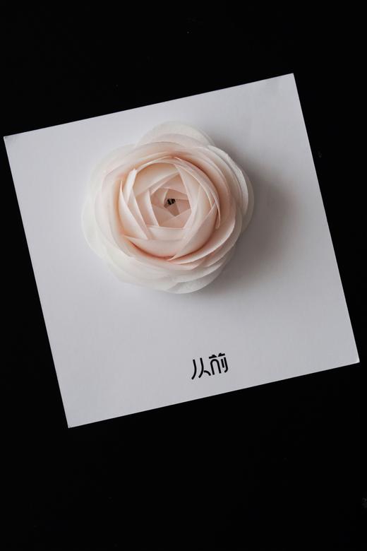 山茶花 商品图4