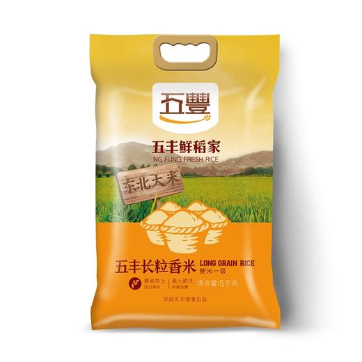 DH 五丰 鲜稻家长粒香米5kg 商品图0