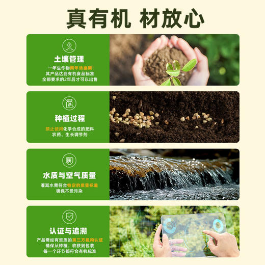 芸岭鲜生有机鲜榨玉米汁（无糖 ）230g*10/箱 （全国配送偏远地区除外） 商品图12