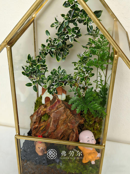 房屋微景观(小） 商品图1