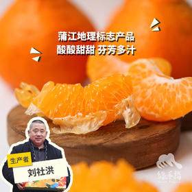 生态蒲江耙耙柑 | 合作生产 *Eco-harrow orange | Coproduction