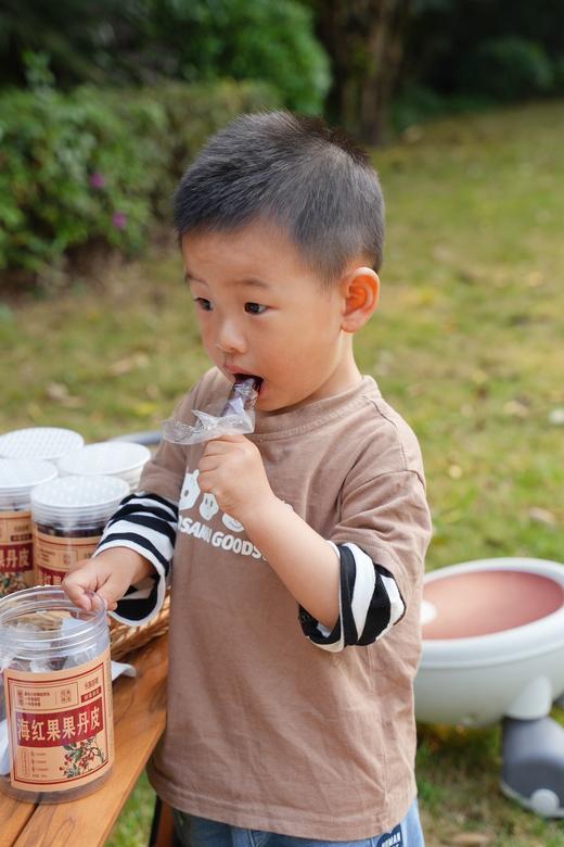 内蒙古非遗海红果果丹皮300g 商品图3