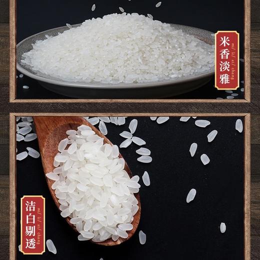 DH 五丰 鲜稻家长粒香米5kg 商品图2