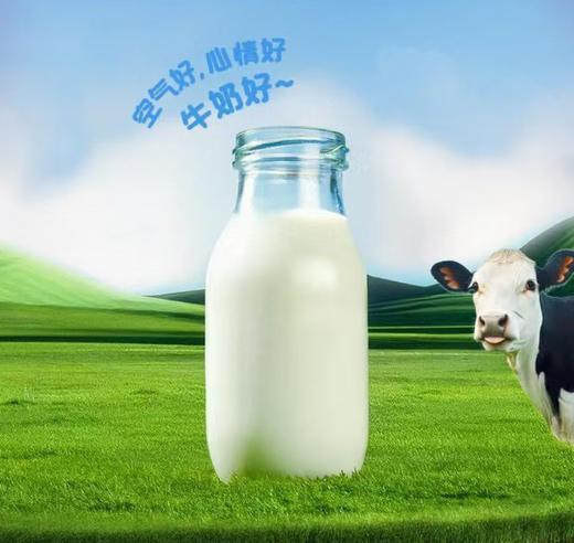 【特惠】蒙牛益生元牛奶200ml*10 商品图1