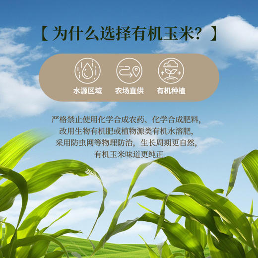 芸岭鲜生有机鲜榨玉米汁（低糖 ）230g*10/箱 （全国包邮配送偏远地区除外） 商品图7