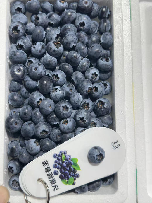 【产地优选】23.8元每斤  云南精选蓝莓小箱 商品图0