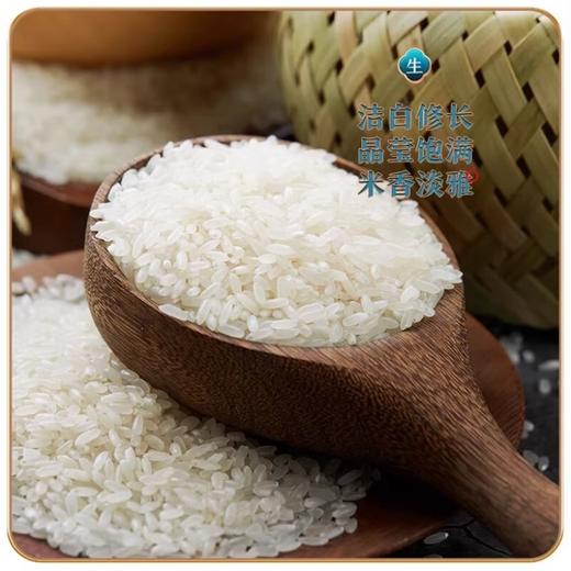 DH 五丰 东北长粒香米5kg 商品图2