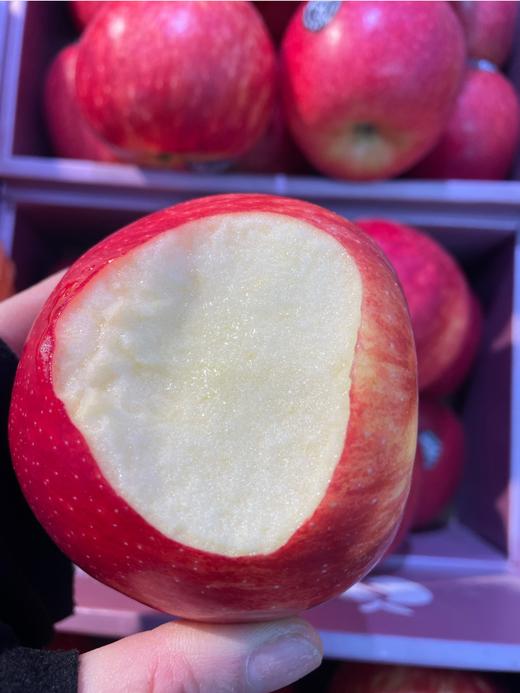 红佳丽苹果2斤 商品图2