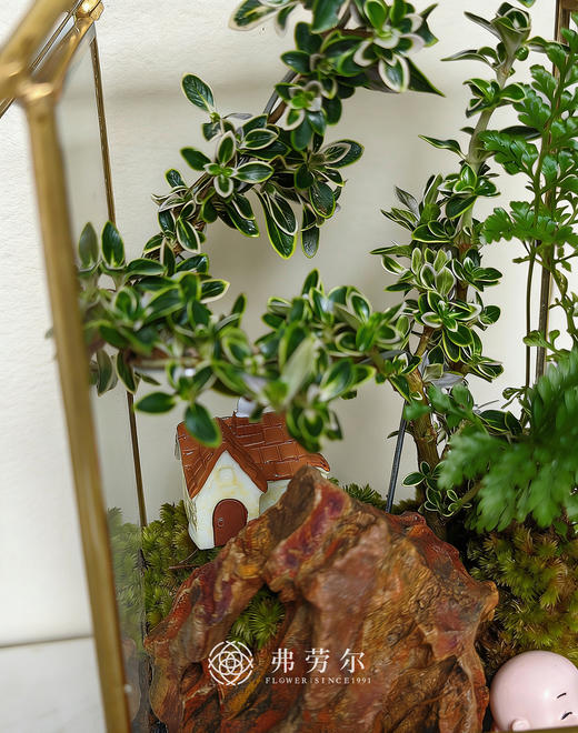 房屋微景观(小） 商品图2