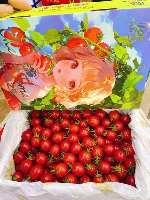 冰糖千玺柿子一箱 商品图0