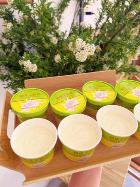 伯牙绝弦奶皮子酸奶