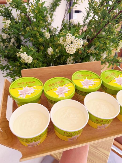 伯牙绝弦奶皮子酸奶 商品图0