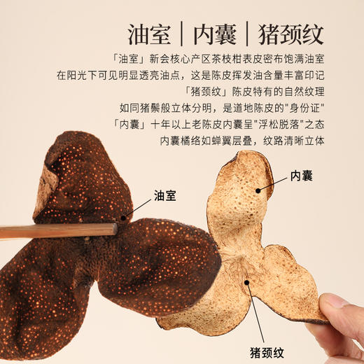 正安 15年陈皮 自然生晒干仓足陈温润甘醇 泡茶煲汤食材茶饮 脾胃湿气优质原材 新会陈皮50g/盒 商品图3