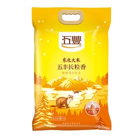 DH 五丰 东北长粒香米5kg