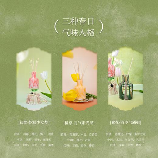 Aroma Light花束系列无火香薰  商品图1
