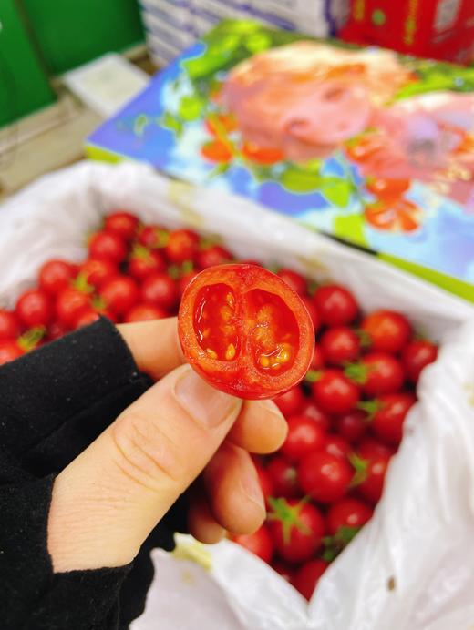 冰糖千玺柿子一箱 商品图3