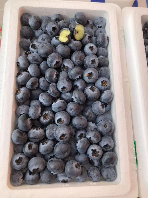 【产地优选】23.8元每斤  云南精选蓝莓小箱 商品图1