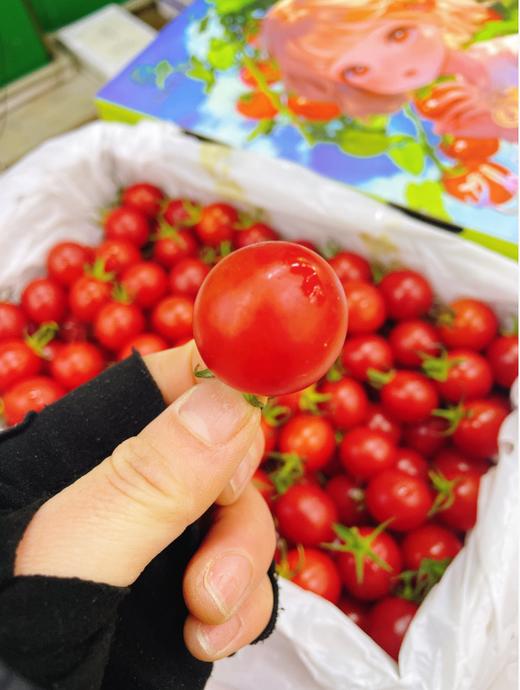 冰糖千玺柿子一箱 商品图1