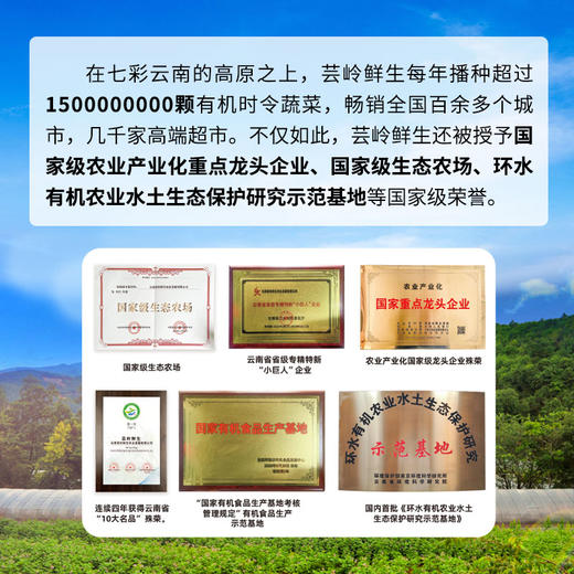 芸岭鲜生有机鲜榨玉米汁（低糖 ）230g*10/箱 （全国包邮配送偏远地区除外） 商品图9
