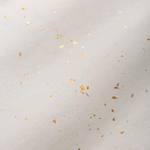 70-80年代安徽十竹斋制洒金笺（白色，一卷25张） 商品图9