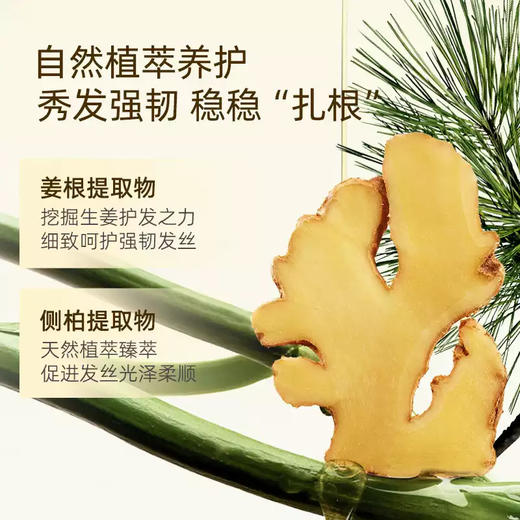 菲诗蔻臻萃生姜丰盈洗发水450ml 商品图1