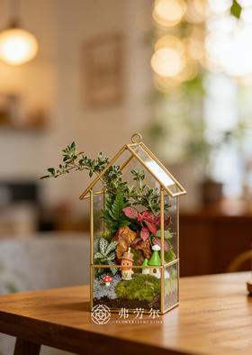 房屋微景观（小）