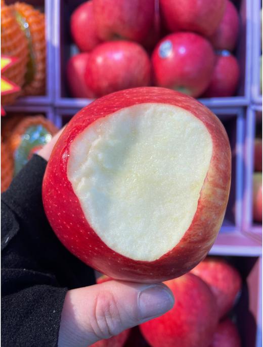 红佳丽苹果2斤 商品图1