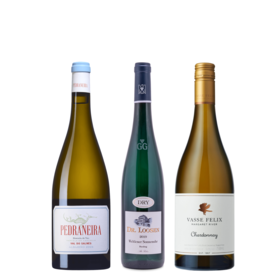 【下单抽杯卖抵扣券100%中奖】露森卫恩日晷园老藤雷司令➕菲历士霞多丽➕佩德雷拉阿尔巴利诺（单一园） 