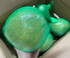 🔥 强烈推荐🔥泰国翡翠柚中大果，果粒饱满紧凑，入口香味最芬芳 商品缩略图4