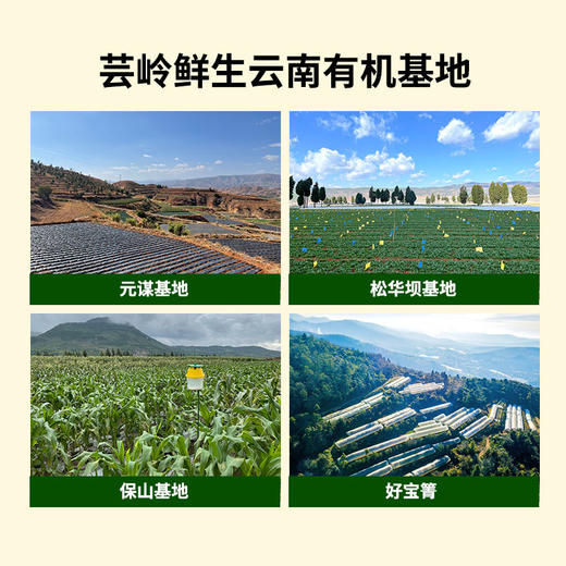 芸岭鲜生有机鲜榨玉米汁（低糖 ）230g*10/箱 （全国包邮配送偏远地区除外） 商品图10